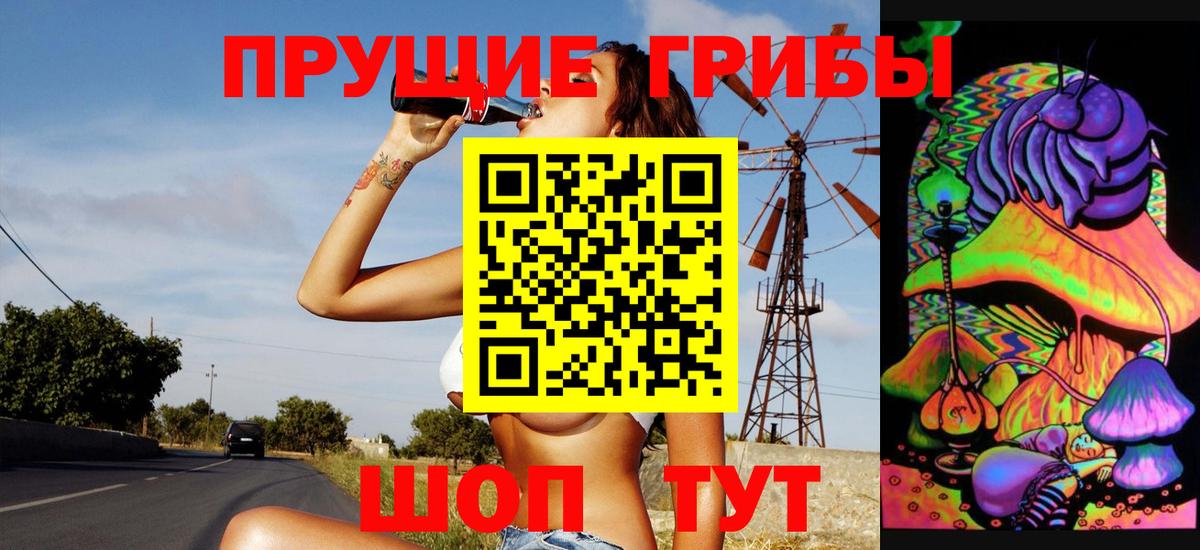 Зима  Псилоцибиновые грибы мицелий  Вход с VPN 